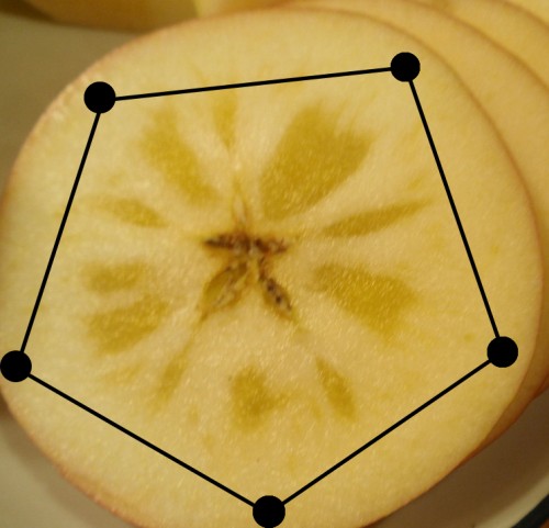 リンゴ　５角形