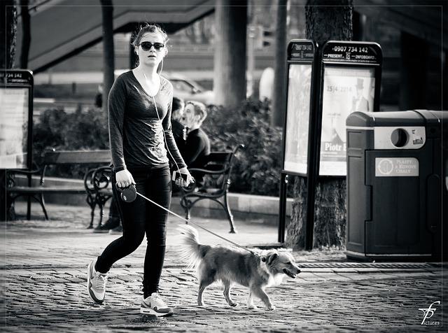 犬の散歩でストレス軽減