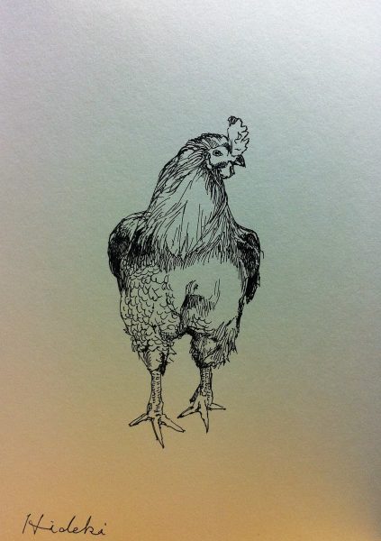 鶏の絵２